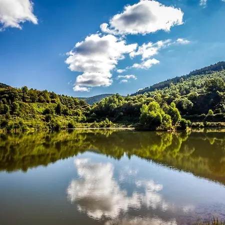 Kemp Domaine Des Planesses *