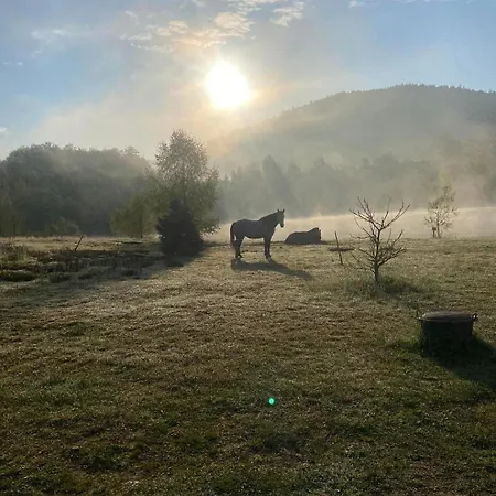 Domaine Des Planesses * Ferdrupt