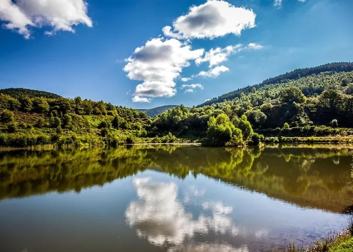 Kemp Domaine Des Planesses *