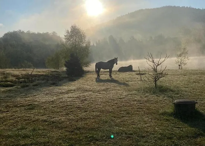 Domaine Des Planesses * Ferdrupt